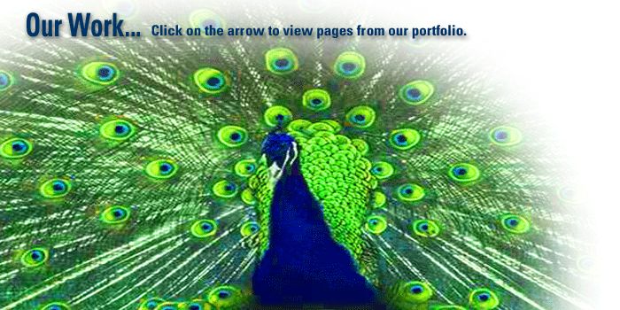 Circle Graphics Portfolio